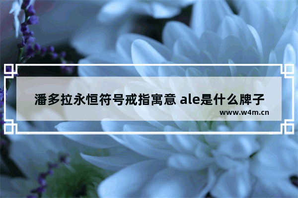 潘多拉永恒符号戒指寓意 ale是什么牌子的戒指