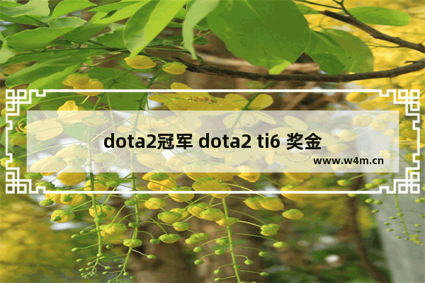 dota2冠军 dota2 ti6 奖金