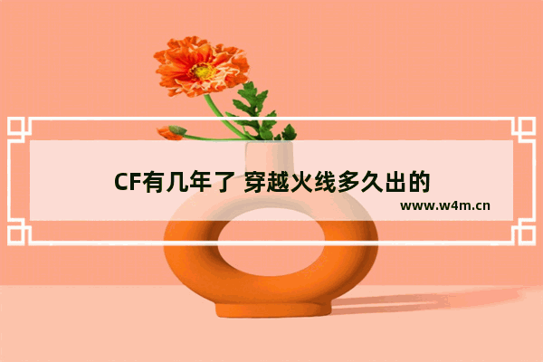 CF有几年了 穿越火线多久出的