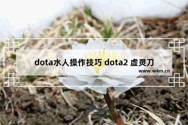 dota水人操作技巧 dota2 虚灵刀 水人