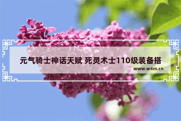 元气骑士神话天赋 死灵术士110级装备搭配