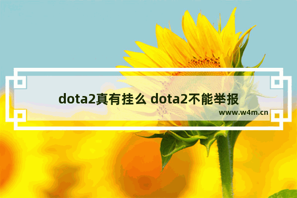 dota2真有挂么 dota2不能举报