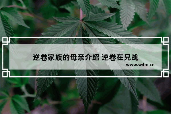 逆卷家族的母亲介绍 逆卷在兄战