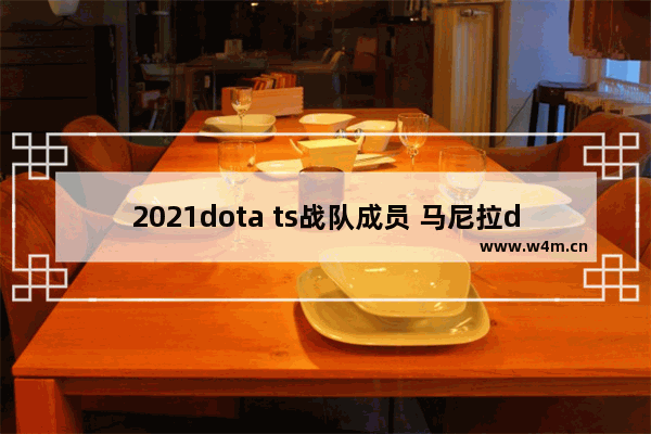 2021dota ts战队成员 马尼拉dota2决赛