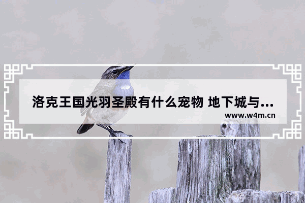 洛克王国光羽圣殿有什么宠物 地下城与勇士黑暗之门宠物