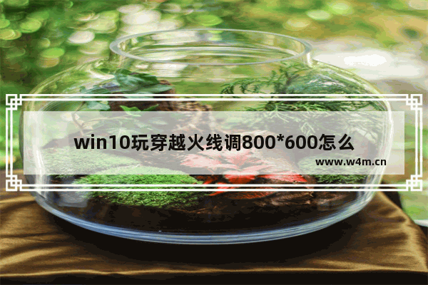 win10玩穿越火线调800*600怎么全屏啊 CF穿越火线win10设置全屏的方法超级简单