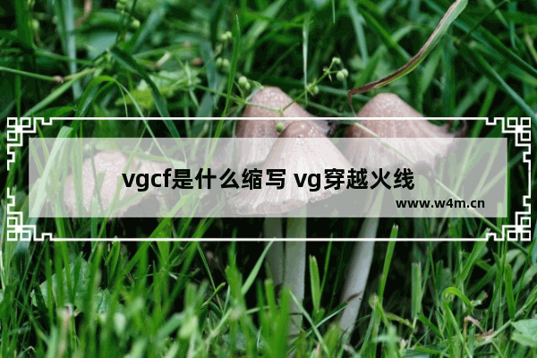 vgcf是什么缩写 vg穿越火线