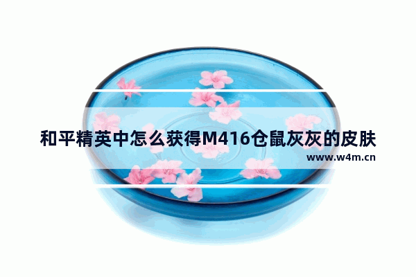 和平精英中怎么获得M416仓鼠灰灰的皮肤 和平精英仓鼠灰灰兑换码