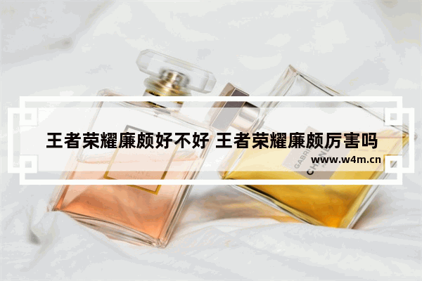 王者荣耀廉颇好不好 王者荣耀廉颇厉害吗