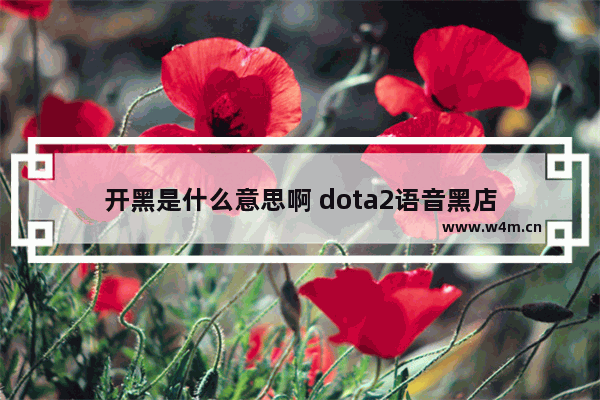 开黑是什么意思啊 dota2语音黑店