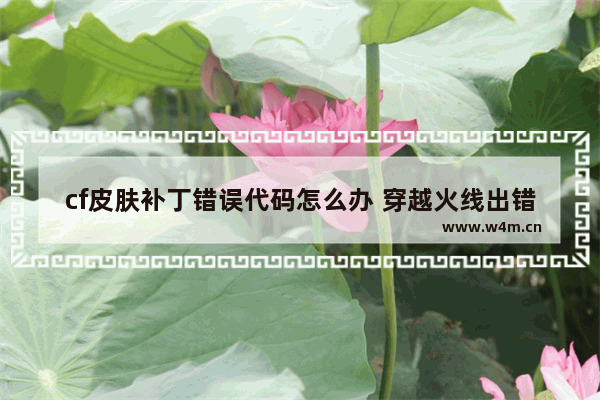 cf皮肤补丁错误代码怎么办 穿越火线出错