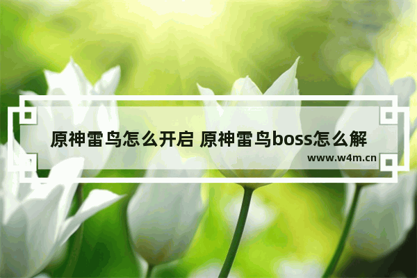 原神雷鸟怎么开启 原神雷鸟boss怎么解锁