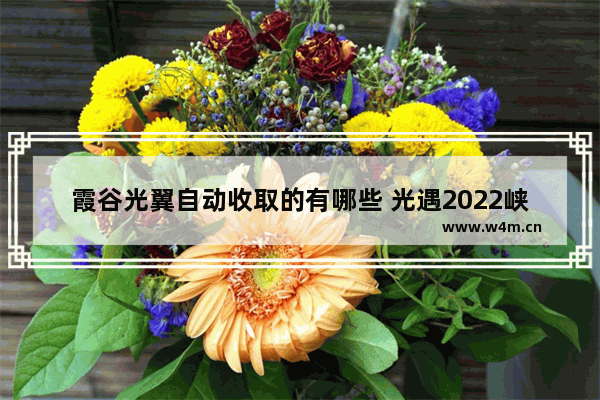 霞谷光翼自动收取的有哪些 光遇2022峡谷光翼