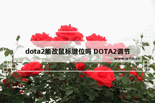 dota2能改鼠标键位吗 DOTA2调节鼠标大小