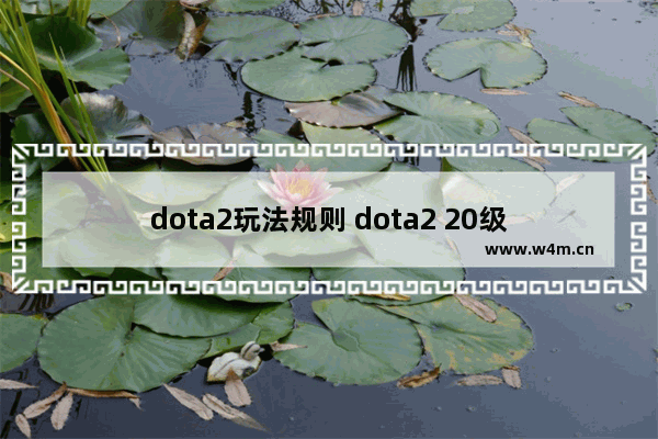 dota2玩法规则 dota2 20级