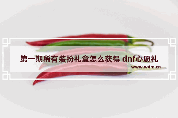 第一期稀有装扮礼盒怎么获得 dnf心愿礼盒商城怎么找不到商城道具也找不到