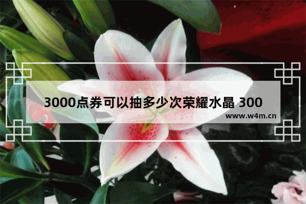 3000点券可以抽多少次荣耀水晶 300元等于多少王者点券