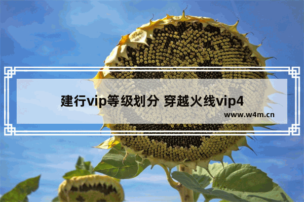 建行vip等级划分 穿越火线vip4