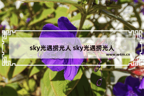 sky光遇捞光人 sky光遇捞光人