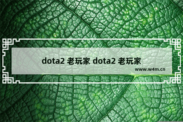 dota2 老玩家 dota2 老玩家