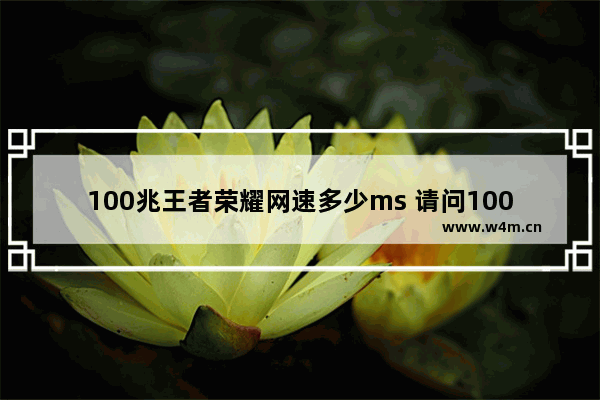 100兆王者荣耀网速多少ms 请问100m光纤宽带能玩得了比如LOL之类的游戏吗