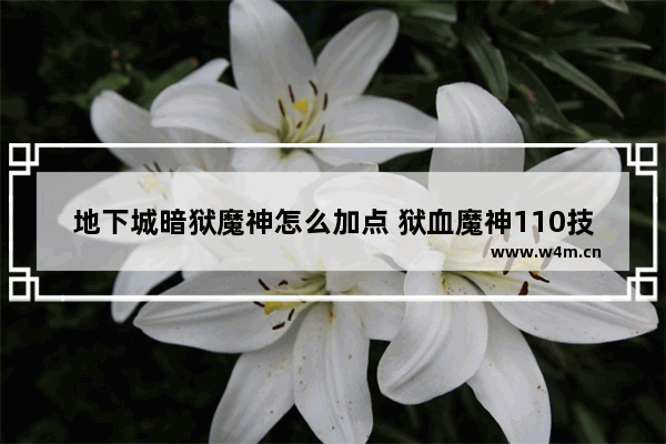 地下城暗狱魔神怎么加点 狱血魔神110技能加点