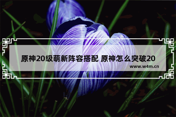 原神20级萌新阵容搭配 原神怎么突破20级上限