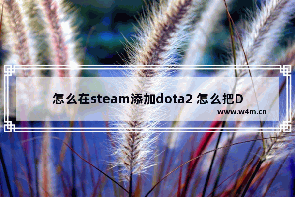 怎么在steam添加dota2 怎么把DOTA2添加到Steam上