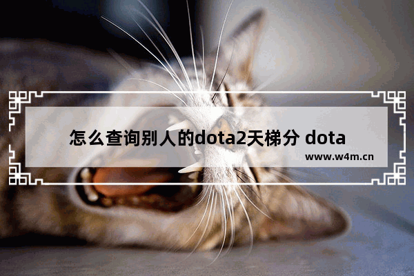 怎么查询别人的dota2天梯分 dota2查询天梯积分