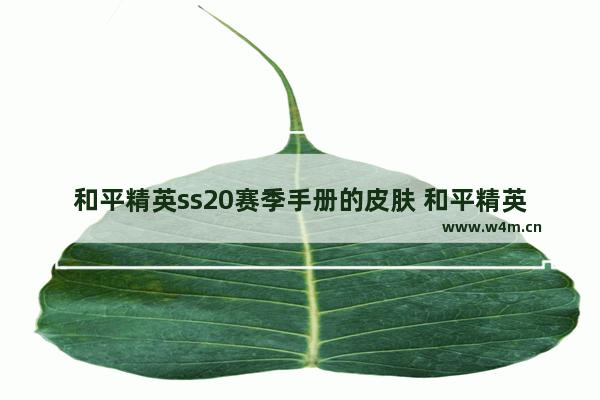 和平精英ss20赛季手册的皮肤 和平精英s23赛季手册皮肤是什么