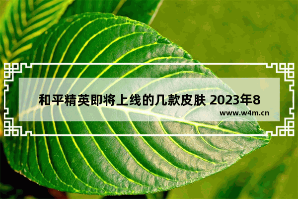 和平精英即将上线的几款皮肤 2023年8月11号和平精英会出什么皮肤