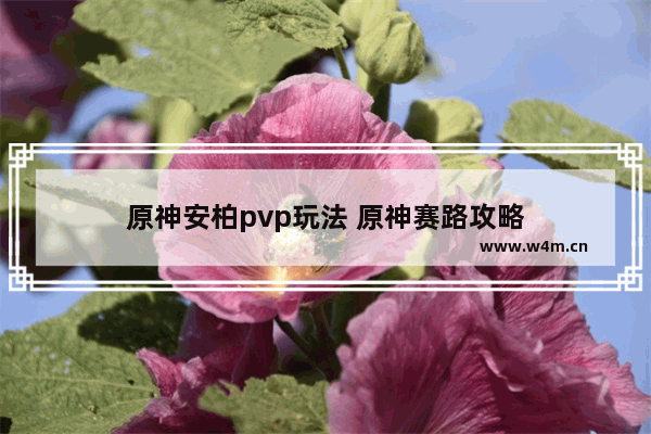 原神安柏pvp玩法 原神赛路攻略