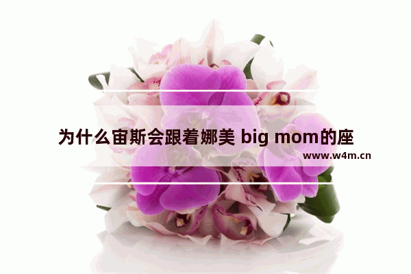 为什么宙斯会跟着娜美 big mom的座驾是什么