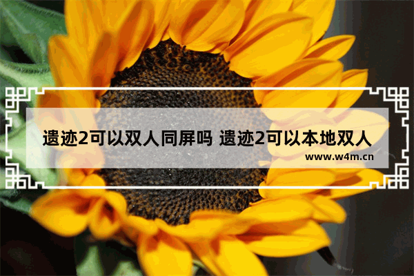 遗迹2可以双人同屏吗 遗迹2可以本地双人吗