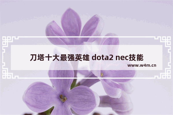 刀塔十大最强英雄 dota2 nec技能讲解