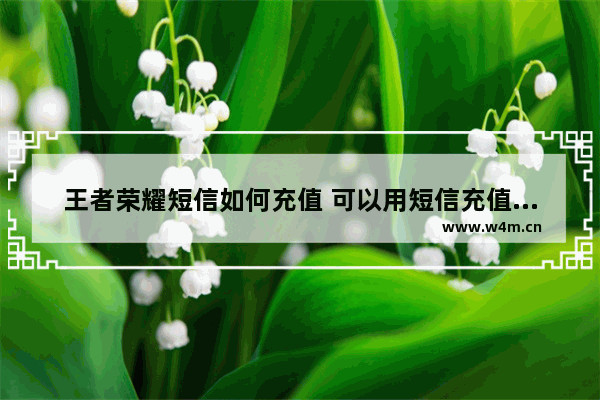 王者荣耀短信如何充值 可以用短信充值的手机游戏 有哪些