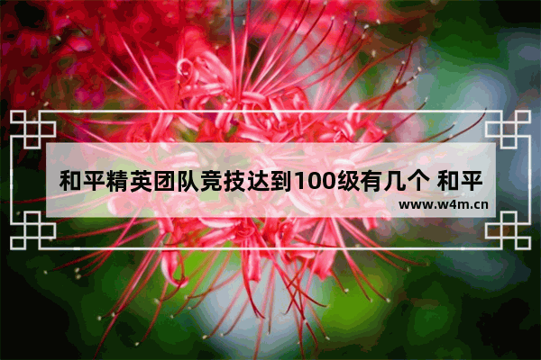 和平精英团队竞技达到100级有几个 和平精英赛事体系