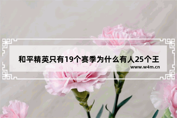 和平精英只有19个赛季为什么有人25个王牌 和平精英一共有多少个吉利服