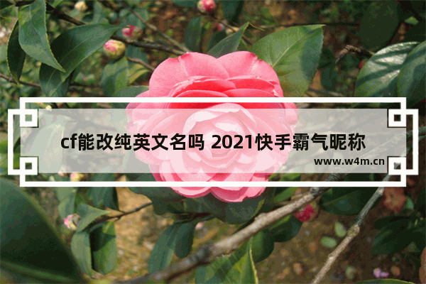 cf能改纯英文名吗 2021快手霸气昵称女英文