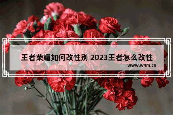 王者荣耀如何改性别 2023王者怎么改性别