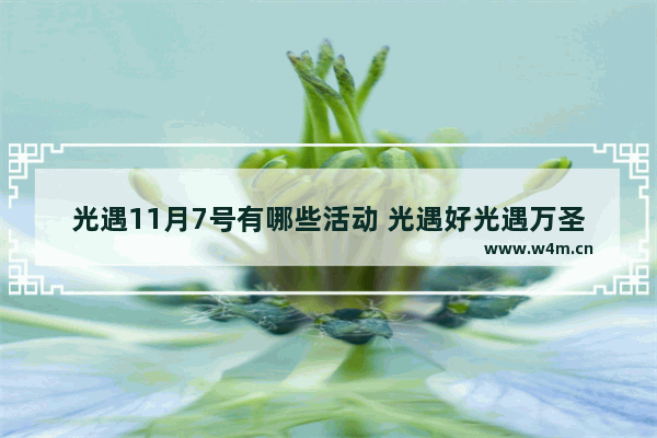 光遇11月7号有哪些活动 光遇好光遇万圣节活动