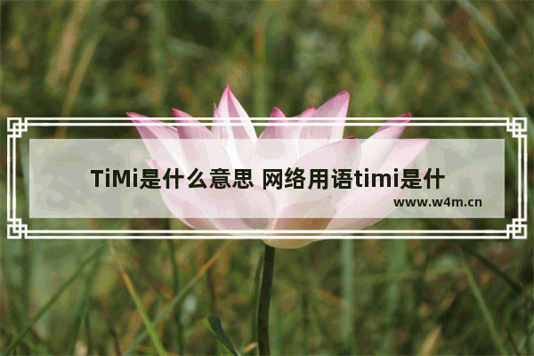 TiMi是什么意思 网络用语timi是什么意思