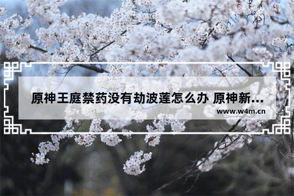 原神王庭禁药没有劫波莲怎么办 原神新手入门攻略