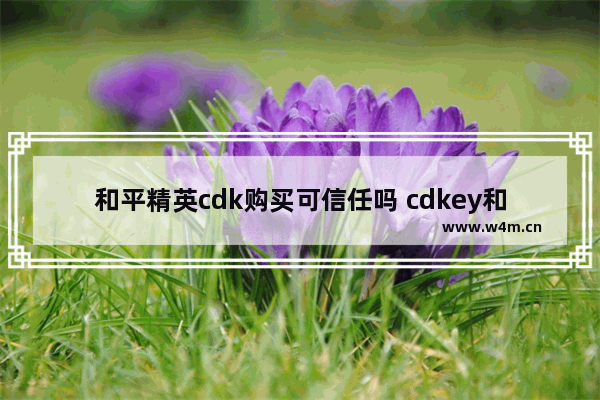 和平精英cdk购买可信任吗 cdkey和平精英兑换码特斯拉