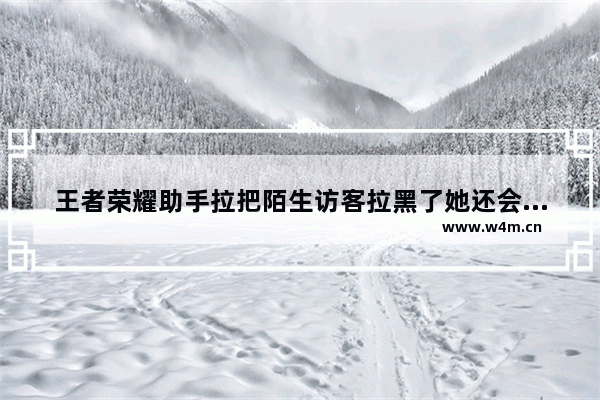 王者荣耀助手拉把陌生访客拉黑了她还会看到你游戏在线吗 农业银行网银助手点不动怎么回事