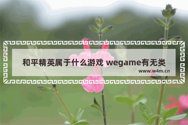 和平精英属于什么游戏 wegame有无类似吃鸡的游戏