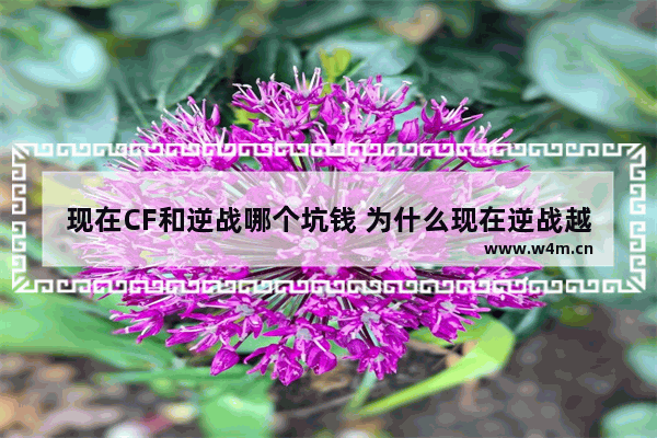 现在CF和逆战哪个坑钱 为什么现在逆战越来越卡 还越来越坑