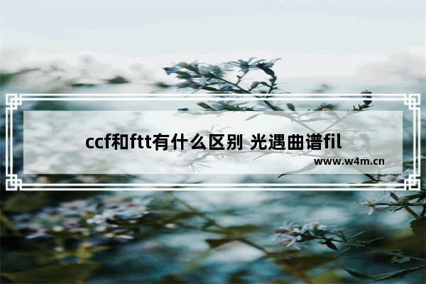 ccf和ftt有什么区别 光遇曲谱fill