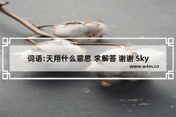 词语:天翔什么意思 求解答 谢谢 Sky天空的意义