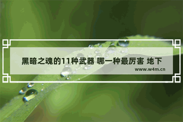 黑暗之魂的11种武器 哪一种最厉害 地下城与勇士黑暗之王装备